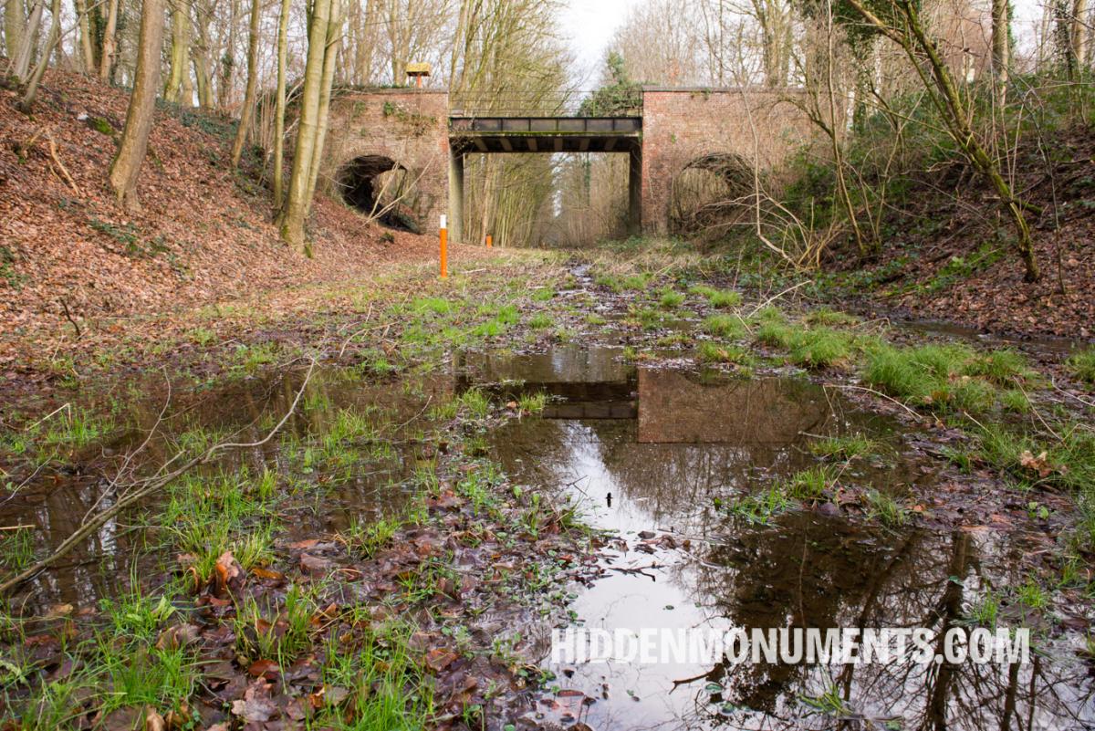 Railway viaduct in the middle of a forest